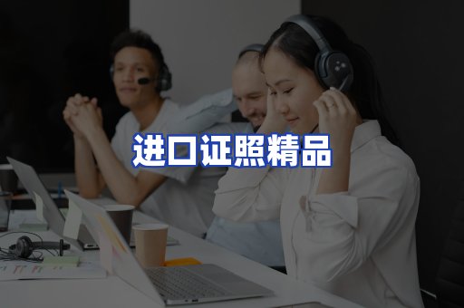 进口证件页面制证