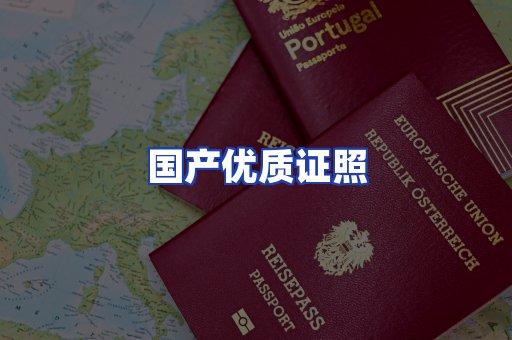 国产优质证照